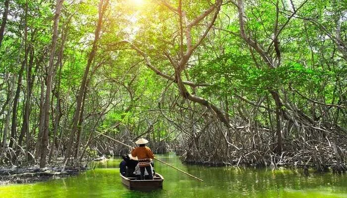Baratang Island